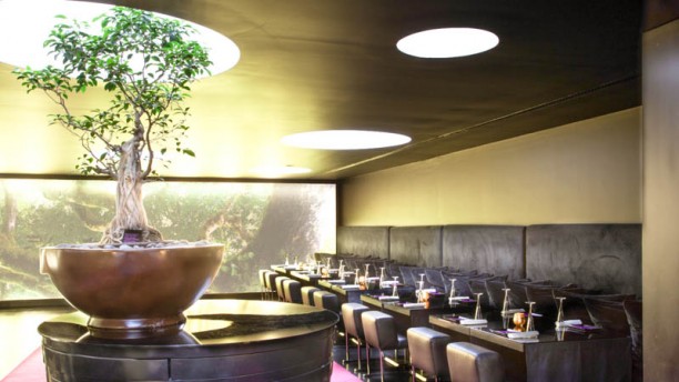 Bonsai DoubleTree by Hilton