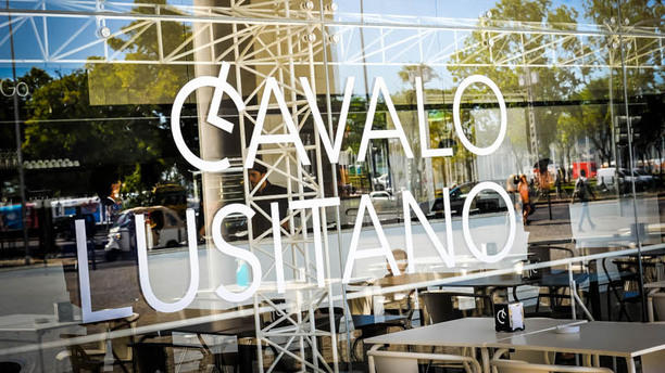 Cavalo Lusitano