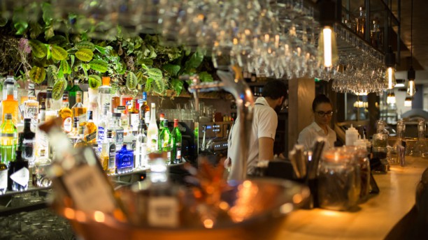 Gioia Food Lab