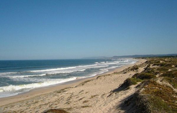 picture of Marco and Cesar